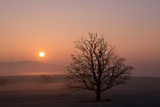 David Plant Photography - Wildlife Photography - Sunrise - G
