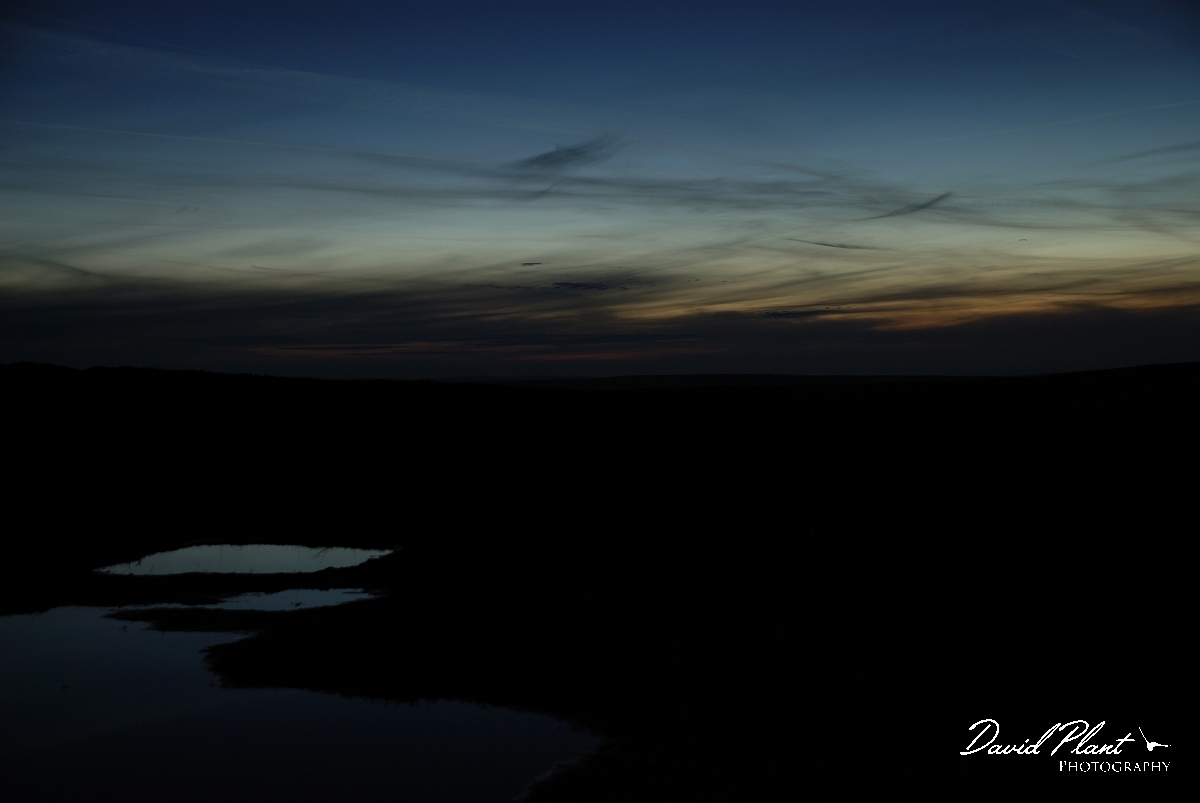 David Plant Photography - Wildlife Photographer - Dusk - P.jpg - Dusk colours - County Durham