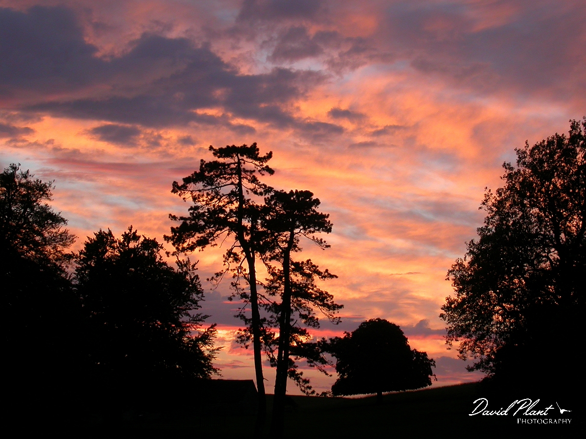 David Plant Photography - Wildlife Photographer - Sunset - A.JPG - Pink skies - South Gloucestershire