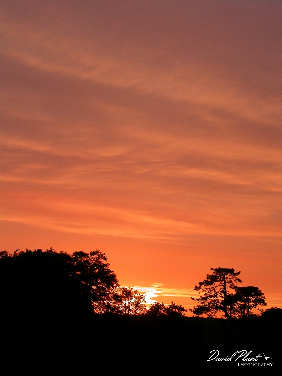 David Plant Photography - Wildlife Photographer - Sunset - B.JPG - Sunset - South Gloucestershire