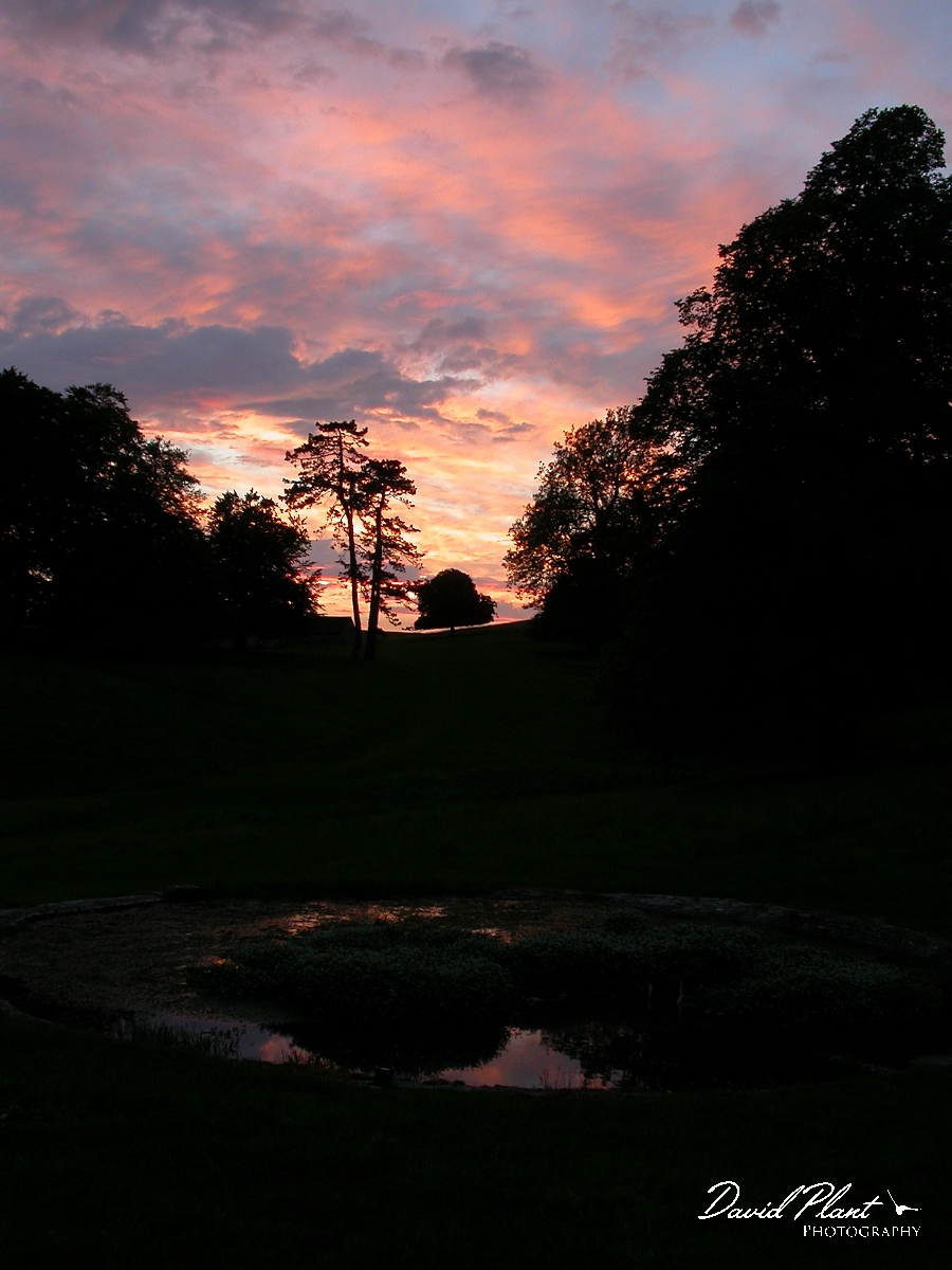 David Plant Photography - Wildlife Photographer - Sunset - C.JPG - Coloured skies - South Gloucestershire