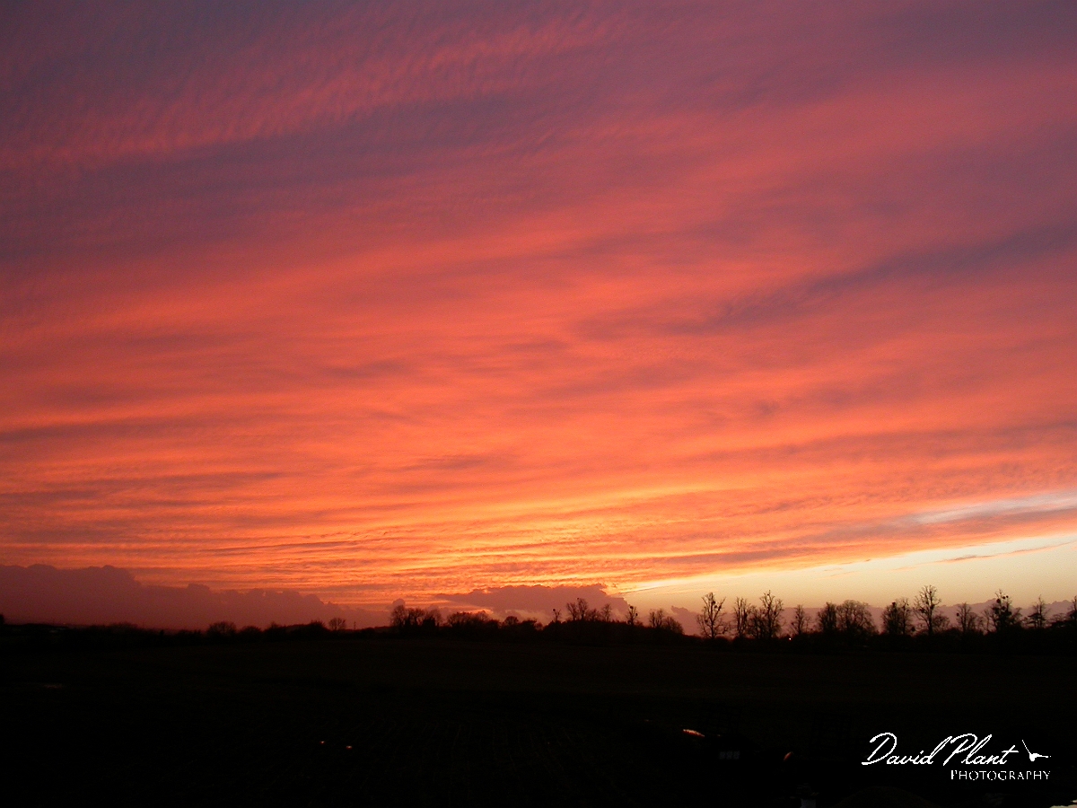 David Plant Photography - Wildlife Photographer - Sunset - D.JPG - Pink sunset - South Gloucestershire