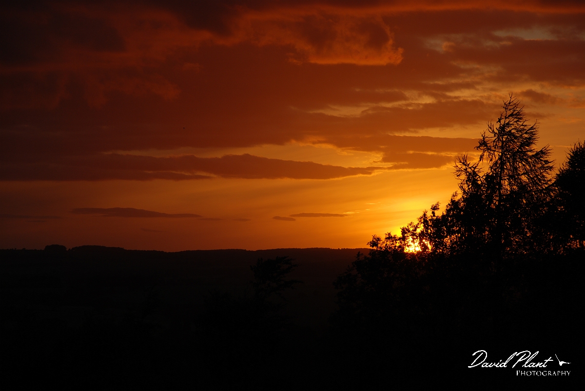David Plant Photography - Wildlife Photographer - Sunset - H.JPG - Red skies - Gloucestershire