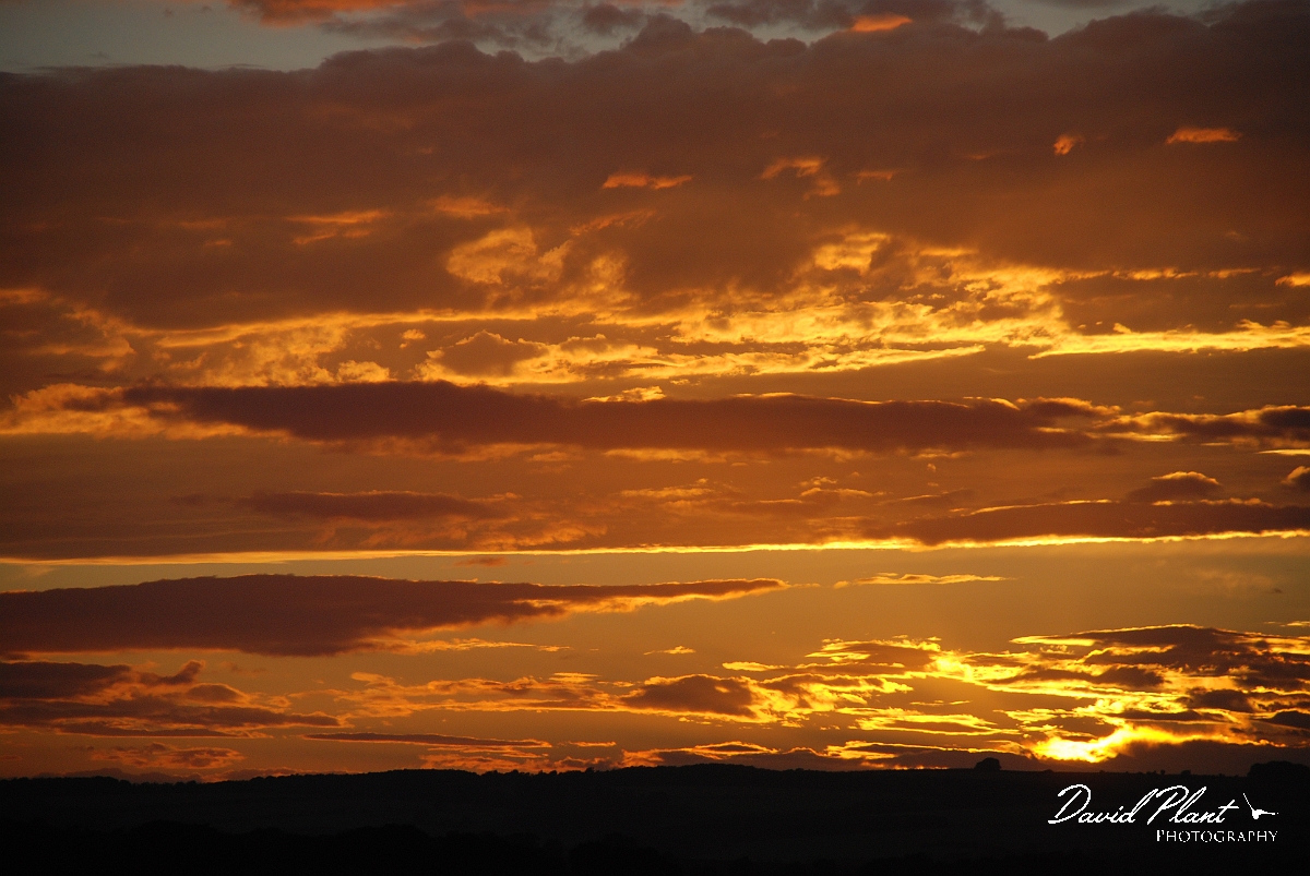 David Plant Photography - Wildlife Photographer - Sunset - K.JPG - Golden sky - Gloucestershire