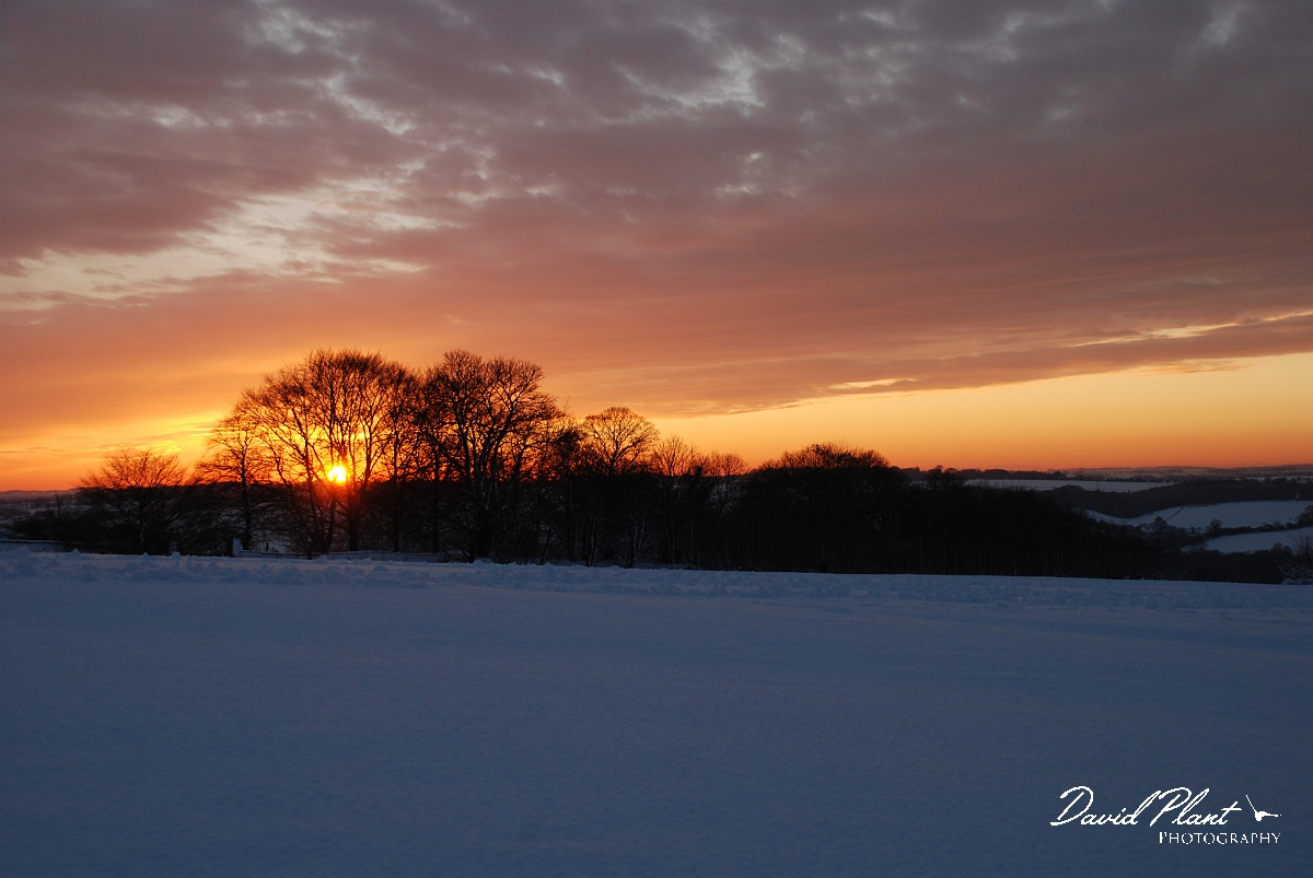 David Plant Photography - Wildlife Photographer - Sunset - L.JPG - Sunset in the snow - Gloucestershire