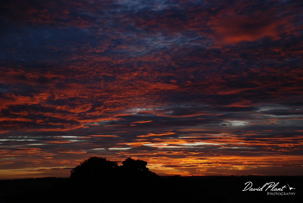 David Plant Photography - Wildlife Photographer - Sunset - M.jpg - Coloured sky - Gloucestershire