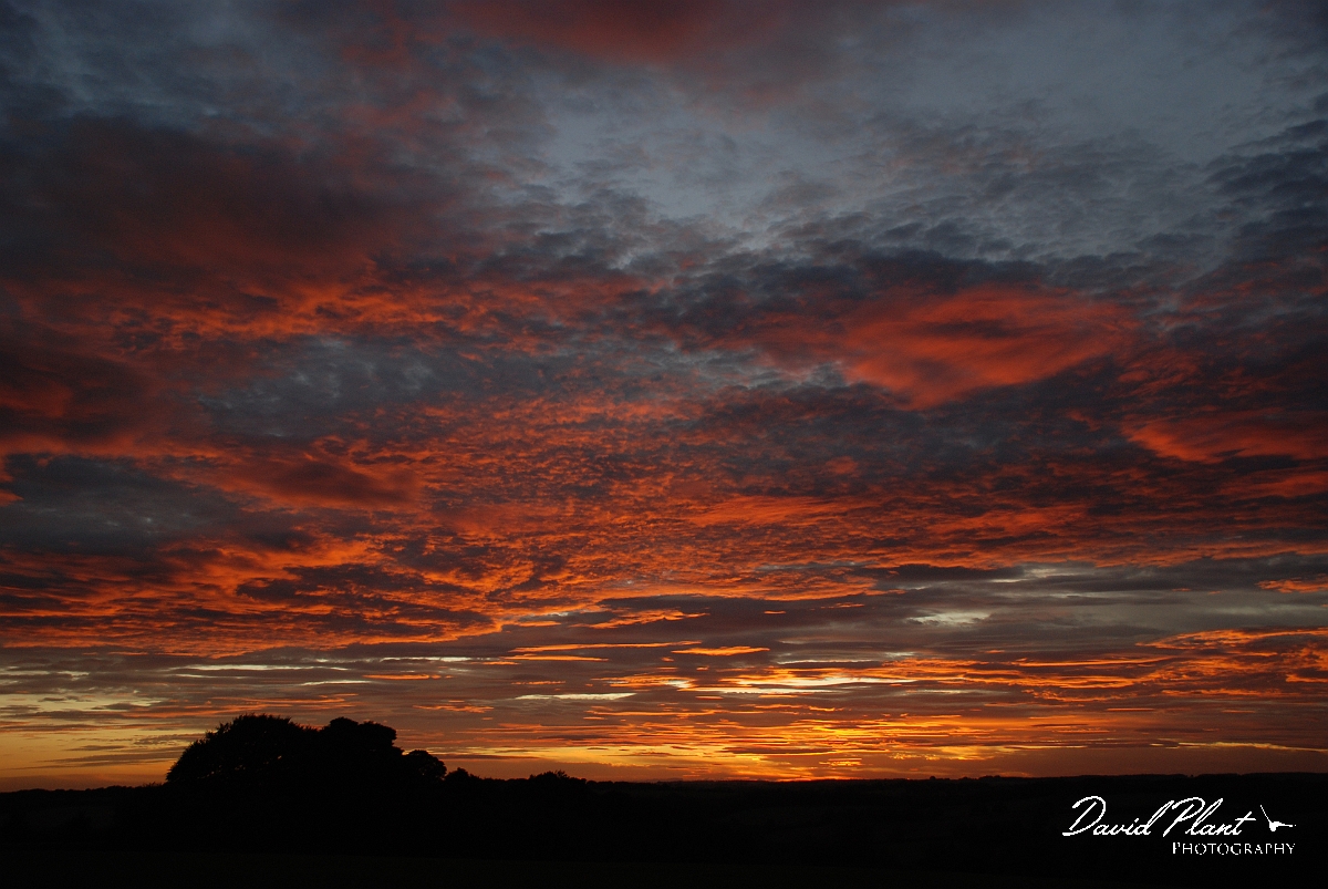 David Plant Photography - Wildlife Photographer - Sunset - O.jpg - Golden sky - Gloucestershire