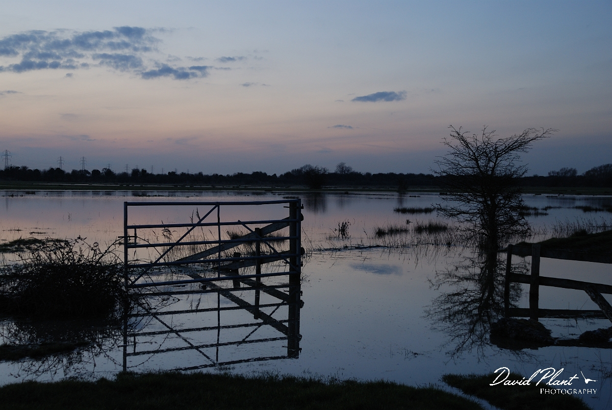 David Plant Photography - Wildlife Photographer - Sunset - P.jpg - Flooded farmland - Kent