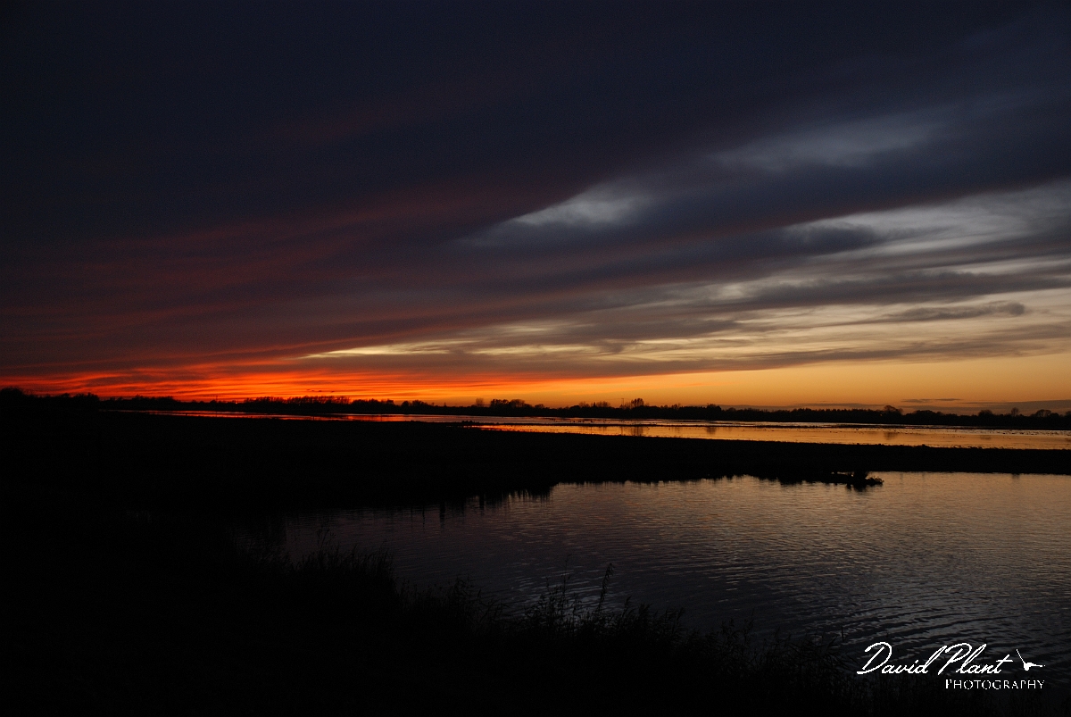David Plant Photography - Wildlife Photographer - Sunset - Q.jpg - Sunset over Welney - Cambridgeshire