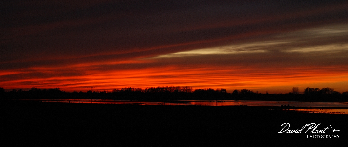 David Plant Photography - Wildlife Photographer - Sunset - R.jpg - Late sunset from Welney - Cambridgeshire
