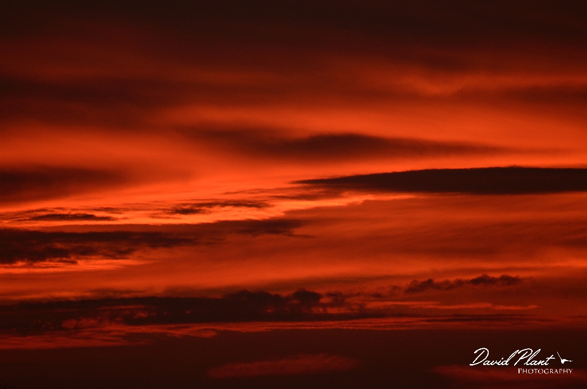 David Plant Photography - Wildlife Photography - Sunset - X.jpg - Crimson clouds at sunset - Cambridgeshire