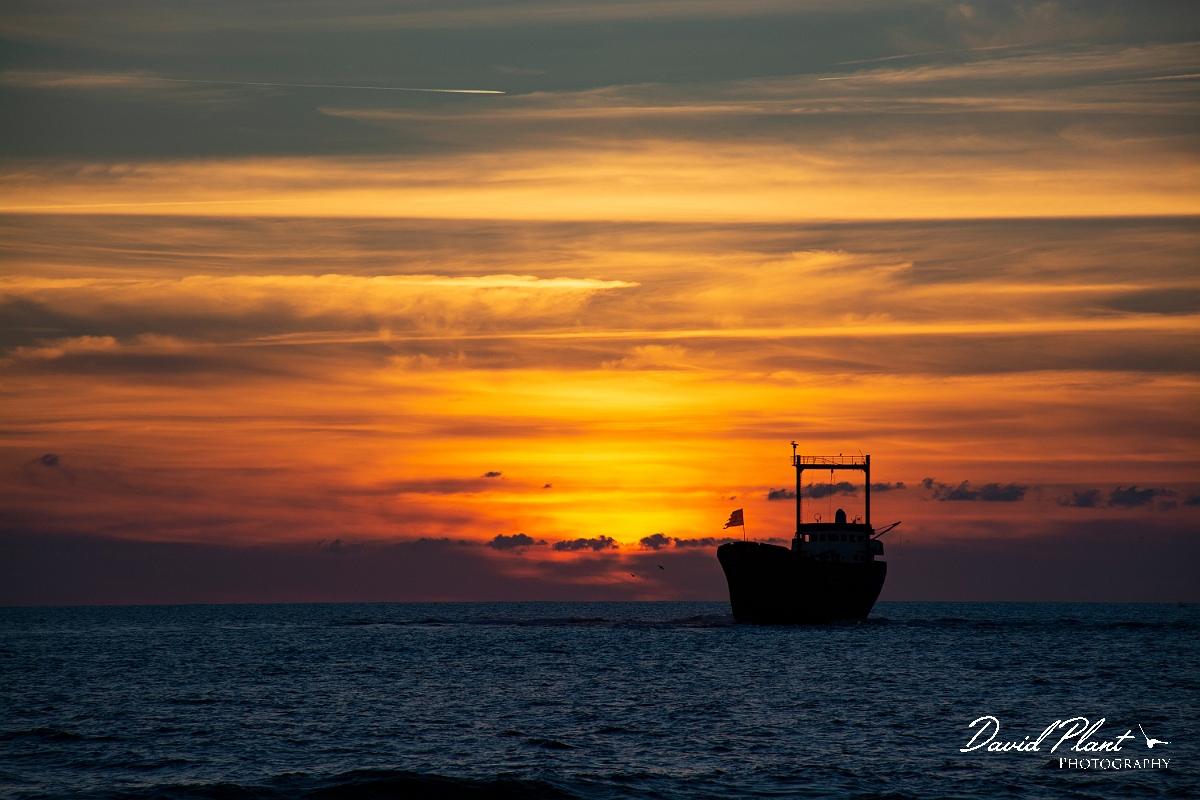 _DSC5292.JPG - Shipwreck of MV Demetrios II - Cyprus