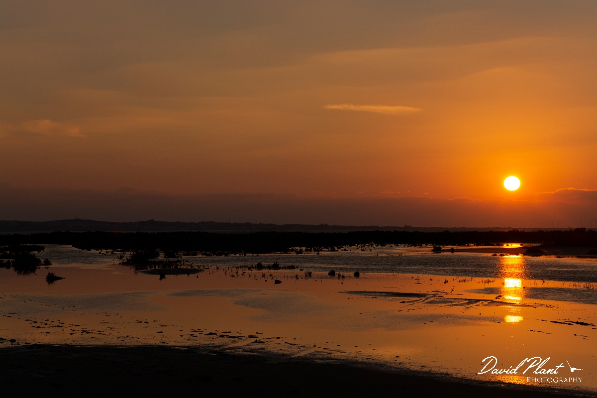 _DSC5345_2.JPG - Akrotiri Saltpan - Cyprus