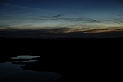 David Plant Photography - Wildlife Photographer - Dusk - P