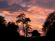 David Plant Photography - Wildlife Photographer - Sunset - A