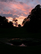David Plant Photography - Wildlife Photographer - Sunset - C