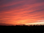 David Plant Photography - Wildlife Photographer - Sunset - D