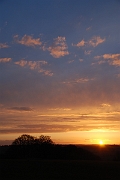 David Plant Photography - Wildlife Photographer - Sunset - F