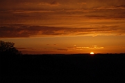 David Plant Photography - Wildlife Photographer - Sunset - G