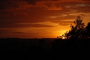 David Plant Photography - Wildlife Photographer - Sunset - H