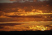 David Plant Photography - Wildlife Photographer - Sunset - K
