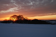 David Plant Photography - Wildlife Photographer - Sunset - L
