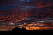 David Plant Photography - Wildlife Photographer - Sunset - M