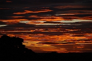 David Plant Photography - Wildlife Photographer - Sunset - N
