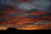 David Plant Photography - Wildlife Photographer - Sunset - O