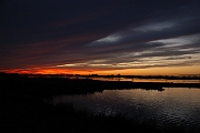 David Plant Photography - Wildlife Photographer - Sunset - Q