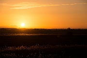 David Plant Photography - Wildlife Photography - Sunset - AA