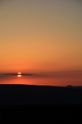 David Plant Photography - Wildlife Photography - Sunset - T