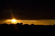 David Plant Photography - Wildlife Photography - Sunset - W